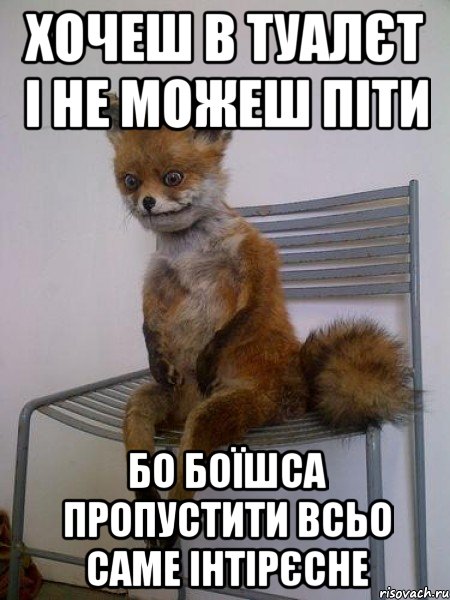 хочеш в туалєт і не можеш піти бо боїшса пропустити всьо саме інтірєсне, Мем Упоротая лиса