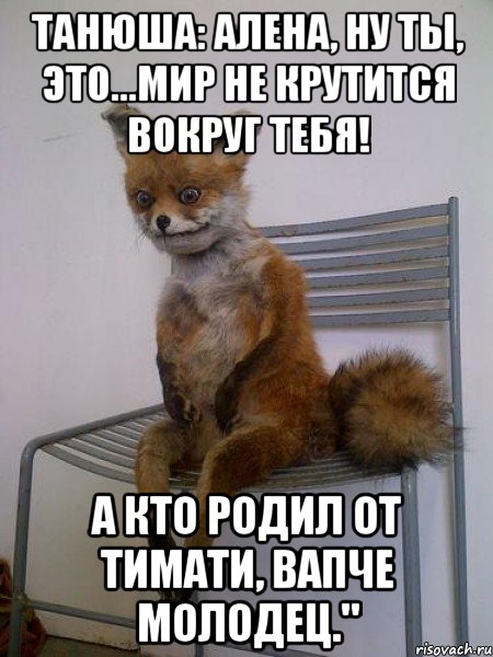 Танюша: Алена, ну ты, это...мир не крутится вокруг тебя! А кто родил от Тимати, вапче молодец.", Мем Упоротая лиса