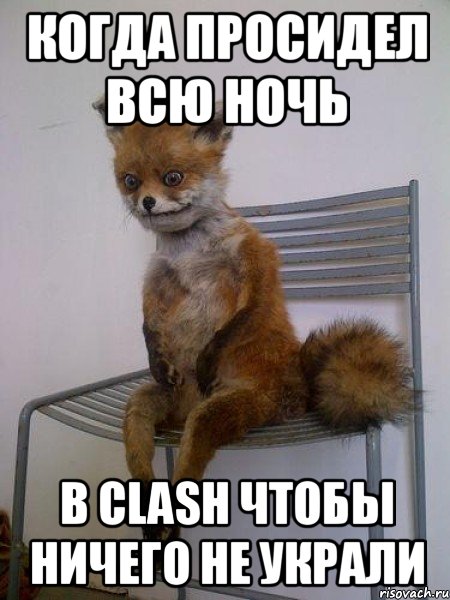 Когда просидел всю ночь В Clash чтобы ничего не украли, Мем Упоротая лиса