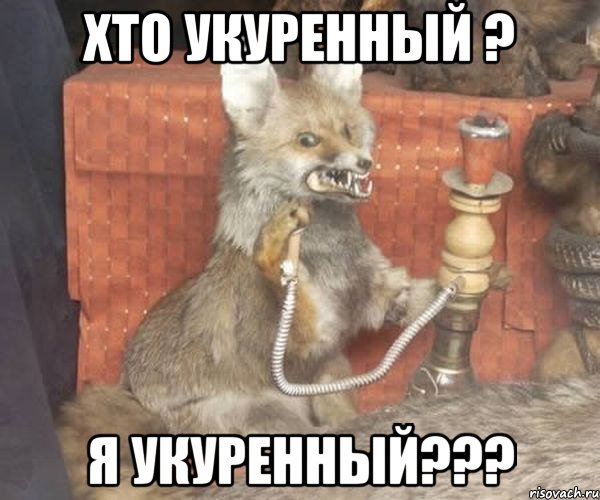 хто укуренный ? я укуренный???, Мем Упоротый лис курит кальян