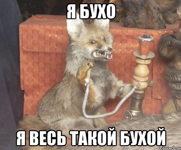 я бухо я весь такой бухой