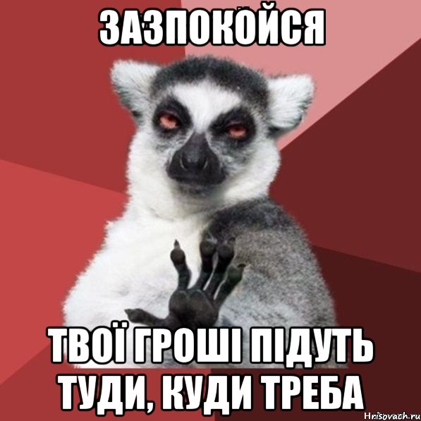 зазпокойся твої гроші підуть туди, куди треба, Мем Узбагойзя