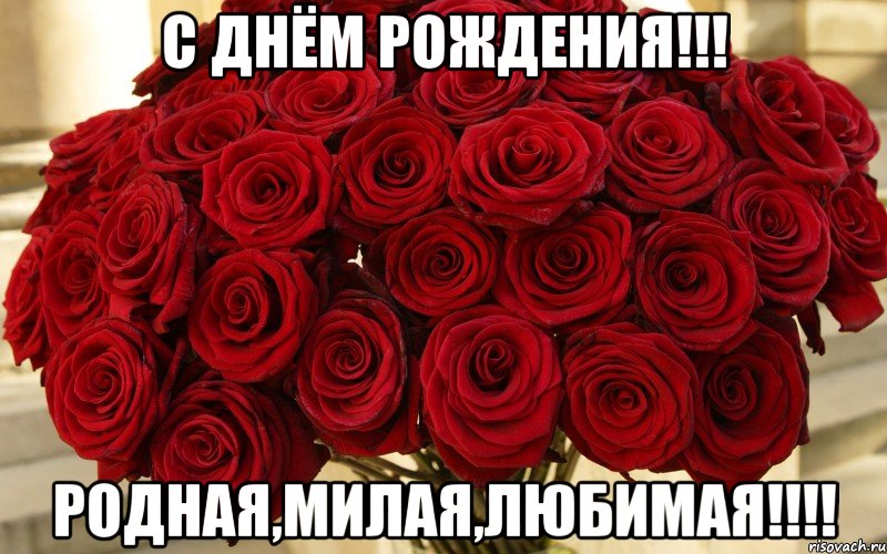 С днем рождения для любимой жены С днем рождения для любимой жены