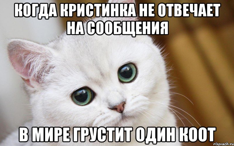 когда Кристинка не отвечает на сообщения в мире грустит один коот, Мем  В мире грустит один котик