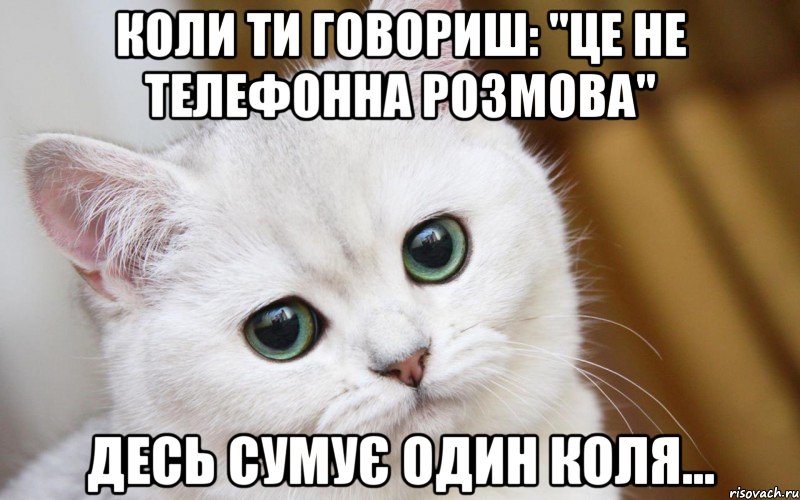 Коли ти говориш: "Це не телефонна розмова" десь сумує один Коля..., Мем  В мире грустит один котик