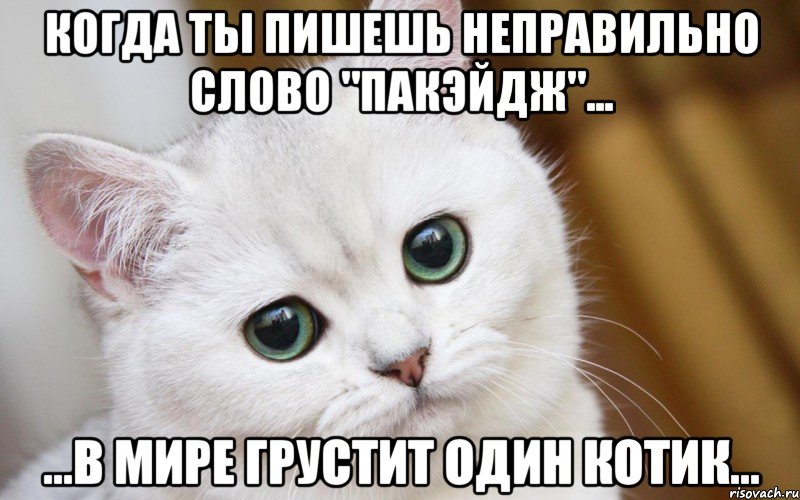 Когда ты пишешь неправильно слово "пакэйдж"... ...в мире грустит один котик..., Мем  В мире грустит один котик