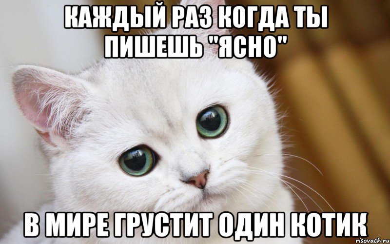 Каждый раз когда ты пишешь "ясно" в мире грустит один котик, Мем  В мире грустит один котик