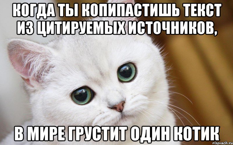 Когда ты копипастишь текст из цитируемых источников, в мире грустит один котик, Мем  В мире грустит один котик