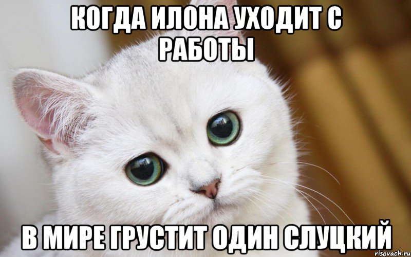 Когда Илона уходит с работы В мире грустит один Слуцкий, Мем  В мире грустит один котик