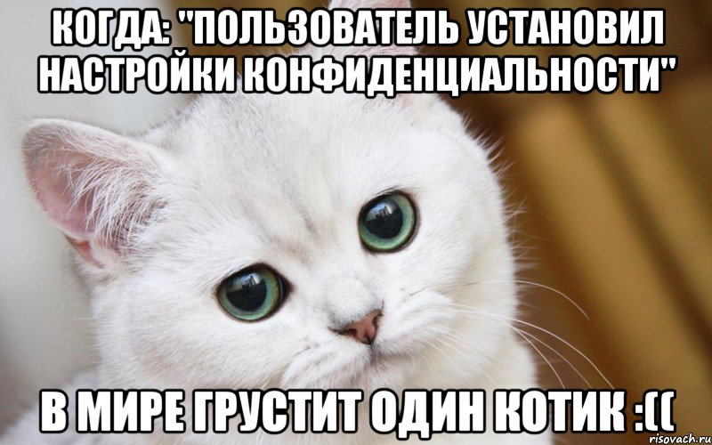 Когда: "Пользователь установил настройки конфиденциальности" В мире грустит один котик :((, Мем  В мире грустит один котик