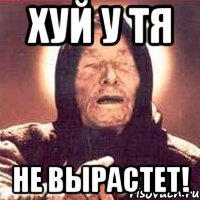 хуй у тя НЕ ВЫРАСТЕТ!, Мем Ванга (цвет)