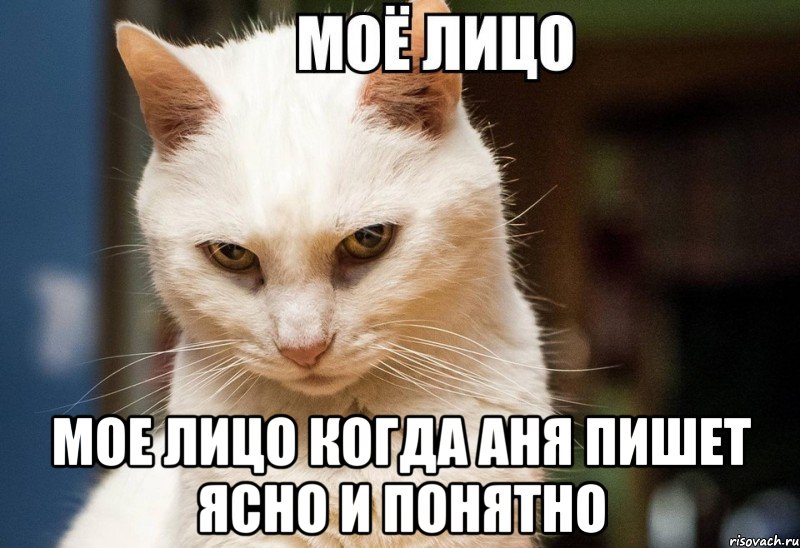  мое лицо когда аня пишет ясно и понятно