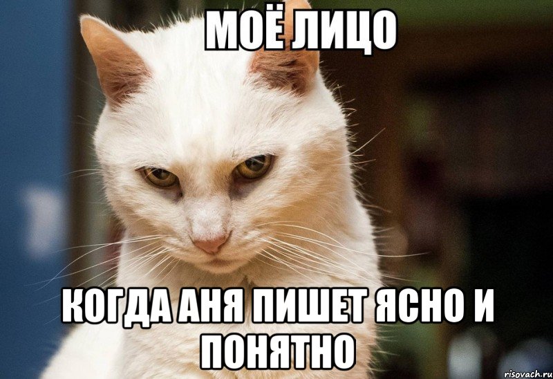  когда аня пишет ясно и понятно