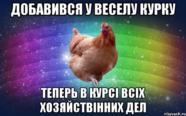 Добавився у Веселу курку теперь в курсі всіх хозяйствінних дел