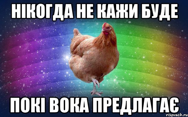 Нікогда не кажи буде покі вока предлагає