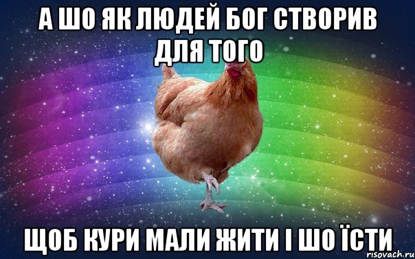 а шо як людей бог створив для того щоб кури мали жити і шо їсти