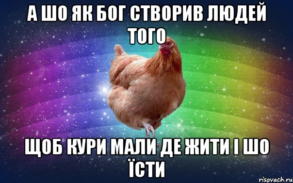 а шо як бог створив людей того щоб кури мали де жити і шо їсти