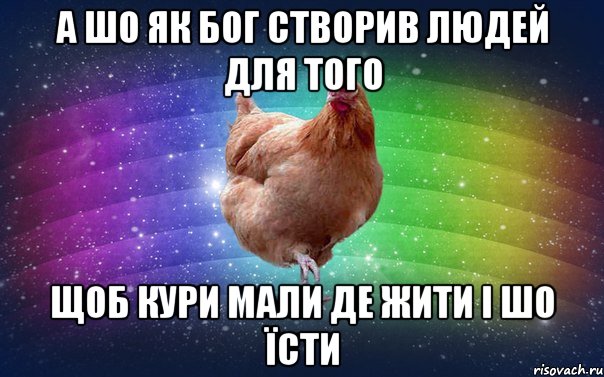 а шо як бог створив людей для того щоб кури мали де жити і шо їсти