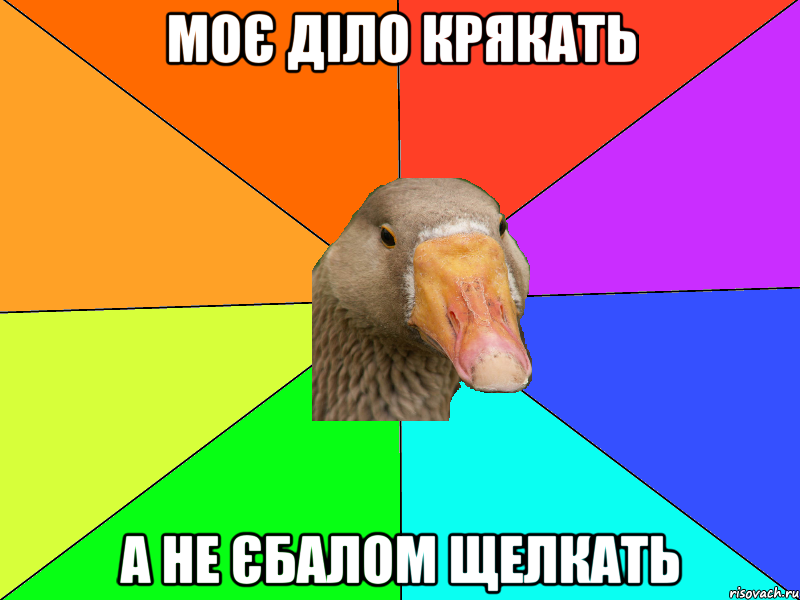 Моє діло крякать а не єбалом щелкать