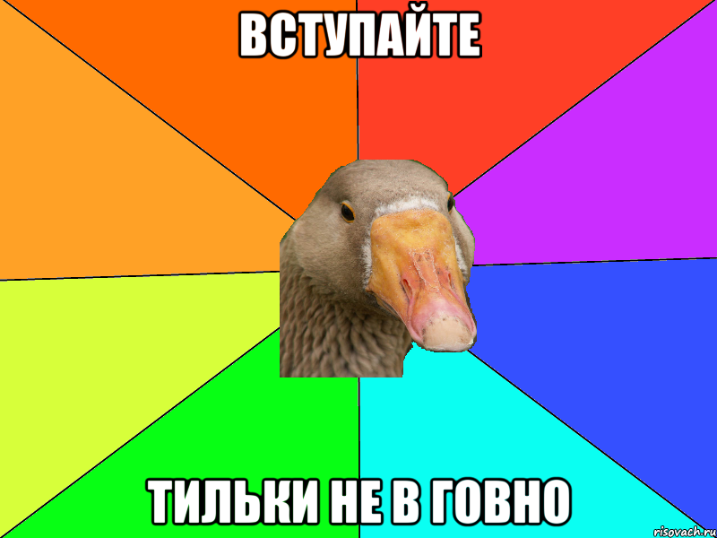 Вступайте Тильки не в говно
