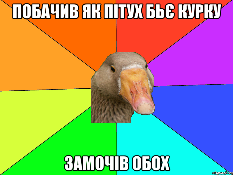 Побачив як пітух бьє курку Замочів обох