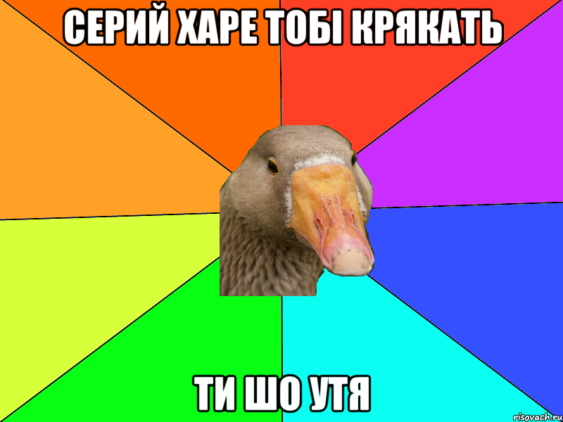 Серий харе тобі крякать ти шо утя