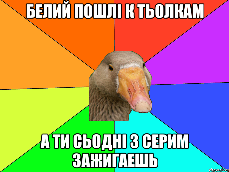 Белий пошлі к тьолкам а ти сьодні з серим зажигаешь