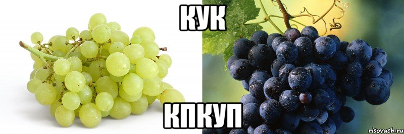 кук кпкуп, Мем виноград курильщика