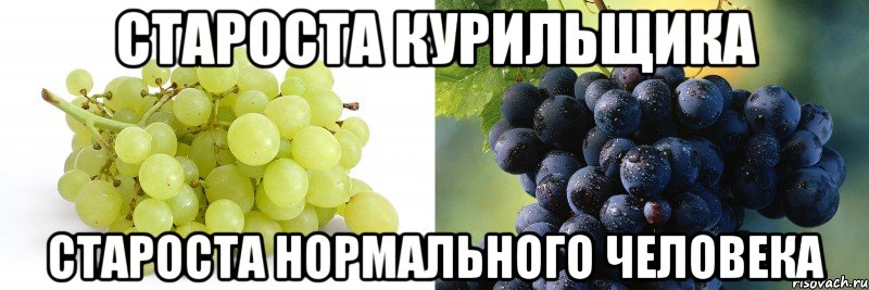 Староста курильщика староста нормального человека