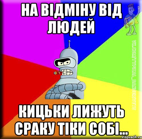 На відміну від людей кицьки лижуть сраку тіки собі...