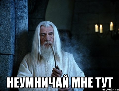  Неумничай мне тут, Мем властелин колец
