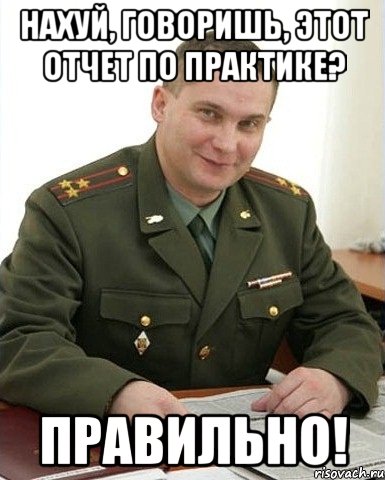 Нахуй, говоришь, этот отчет по практике? Правильно!, Мем Военком (полковник)