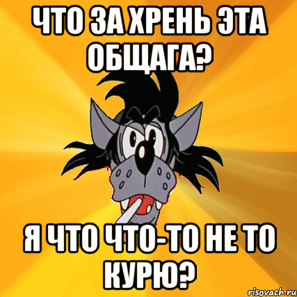 Что за хрень эта общага? Я что что-то не то курю?, Мем Волк