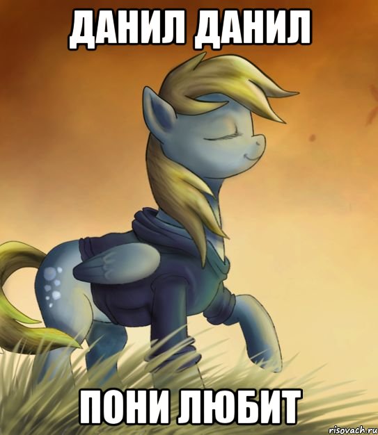 ДАНИЛ ДАНИЛ ПОНИ ЛЮБИТ