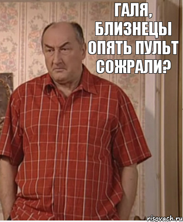 ГАЛЯ, БЛИЗНЕЦЫ ОПЯТЬ ПУЛЬТ СОЖРАЛИ?, Комикс Николай Петрович Воронин