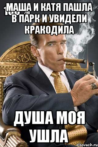 маша и катя пашла в парк и увидели кракодила душа моя ушла