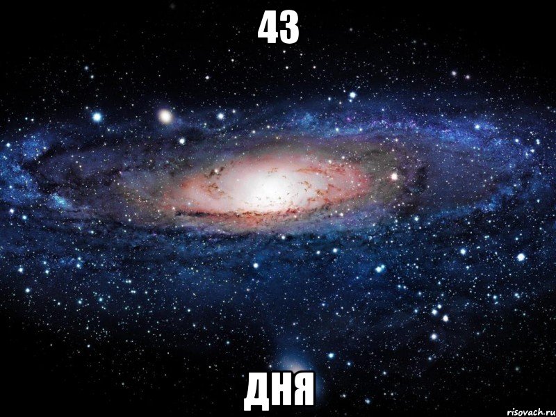 43 ДНЯ, Мем Вселенная