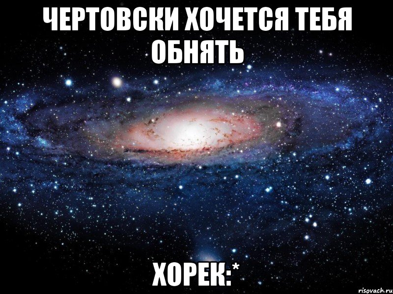 чертовски хочется тебя обнять Хорек:*, Мем Вселенная