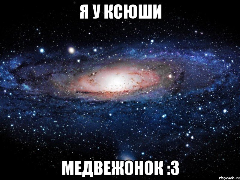 Я у Ксюши Медвежонок :3, Мем Вселенная