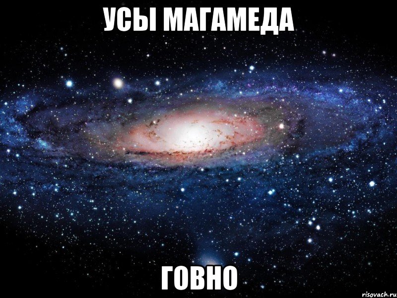 УСЫ МАГАМЕДА ГОВНО, Мем Вселенная