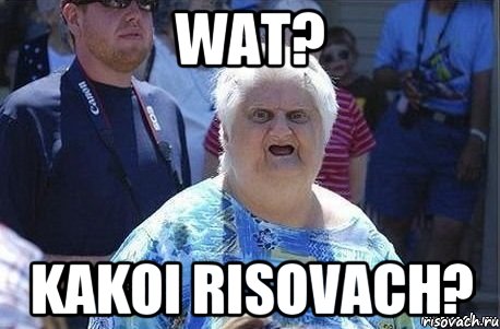 wat? kakoi risovach?