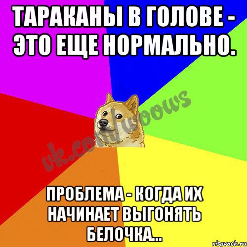 Тараканы в голове - это еще нормально. Проблема - когда их начинает выгонять белочка...