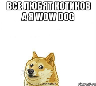 все любят котиков а я wow dog 