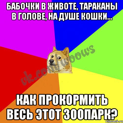 Бабочки в животе, тараканы в голове, на душе кошки... Как прокормить весь этот зоопарк?