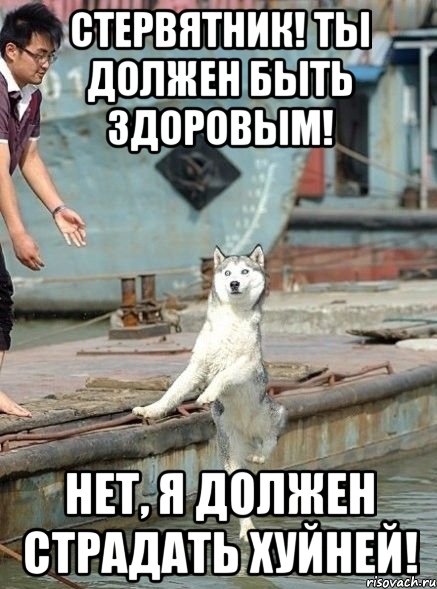 Стервятник! Ты должен быть здоровым! Нет, я должен страдать хуйней!
