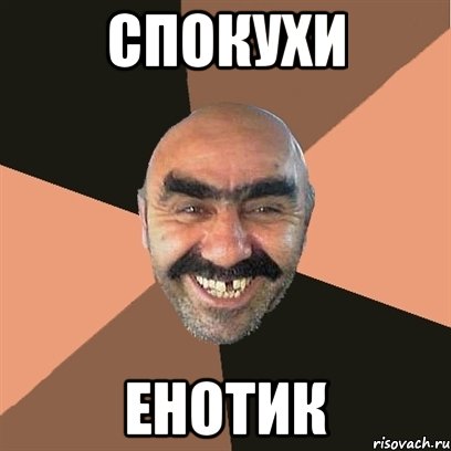 спокухи енотик, Мем Я твой дом труба шатал