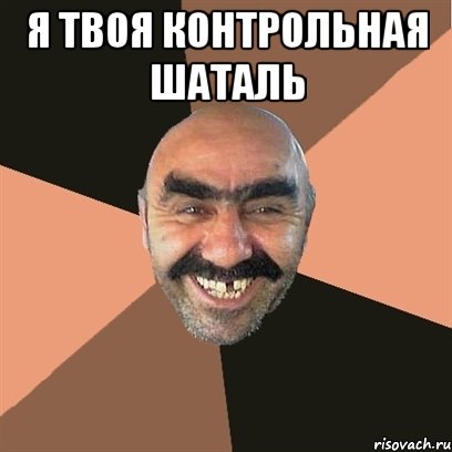 я твоя контрольная шаталь , Мем Я твой дом труба шатал