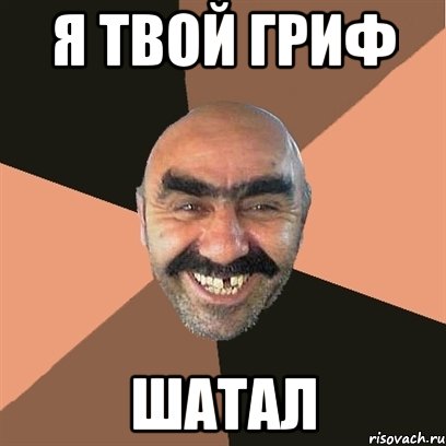 Я твой гриф ШАТАЛ, Мем Я твой дом труба шатал