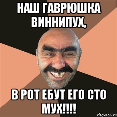 НАШ ГАВРЮШКА ВИННИПУХ, В РОТ ЕБУТ ЕГО СТО МУХ!!!!, Мем Я твой дом труба шатал