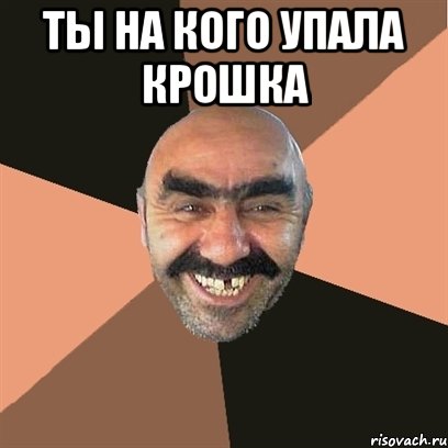 ты на кого упала крошка , Мем Я твой дом труба шатал